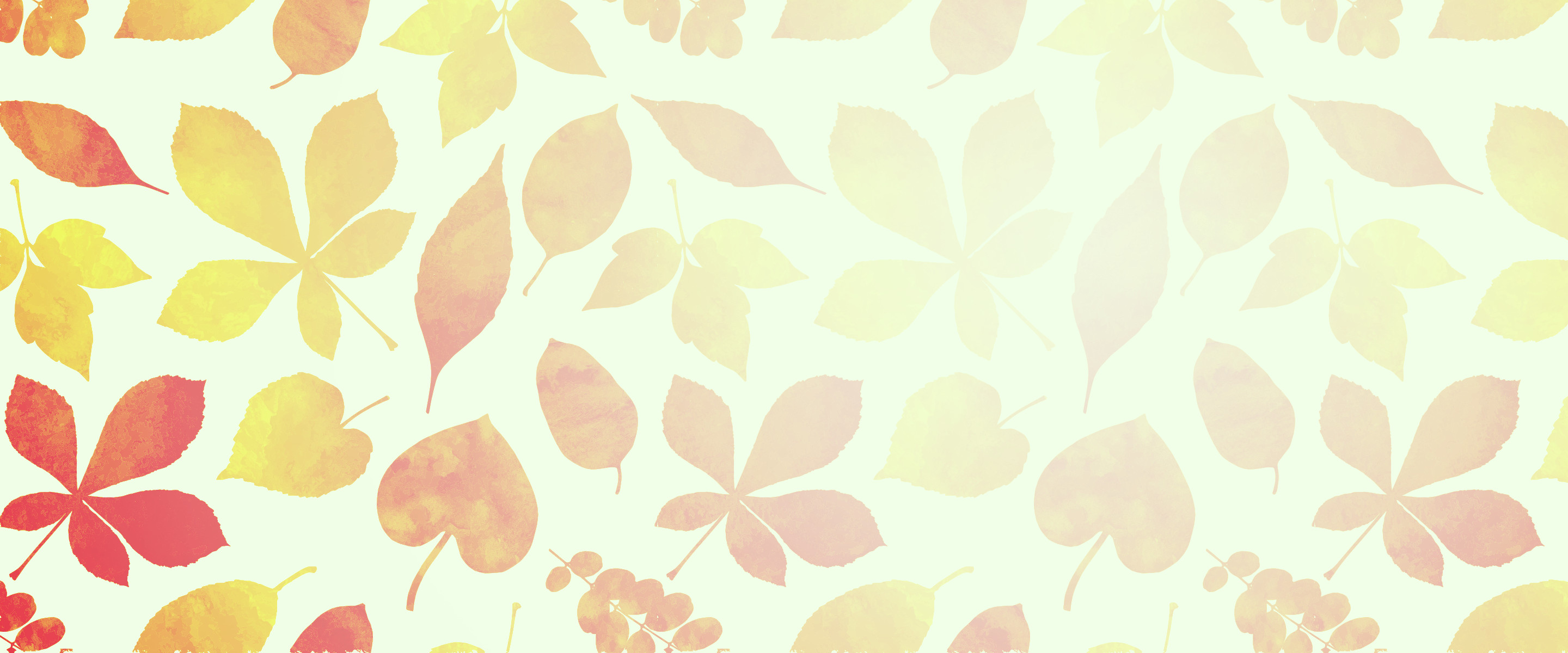 drm-0444-01-hp-bnr-bg