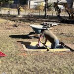 beautifying detroit