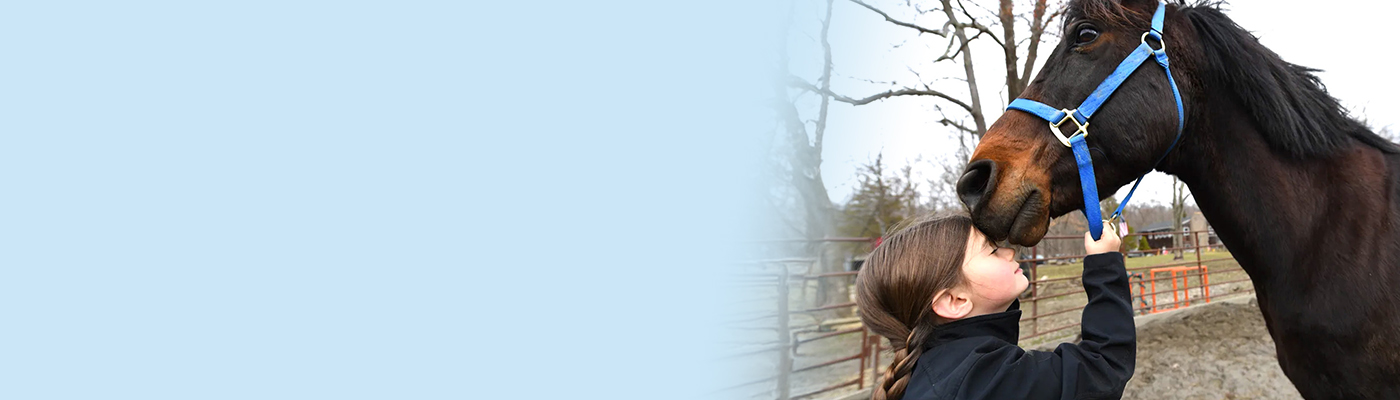 Girl kissing horse