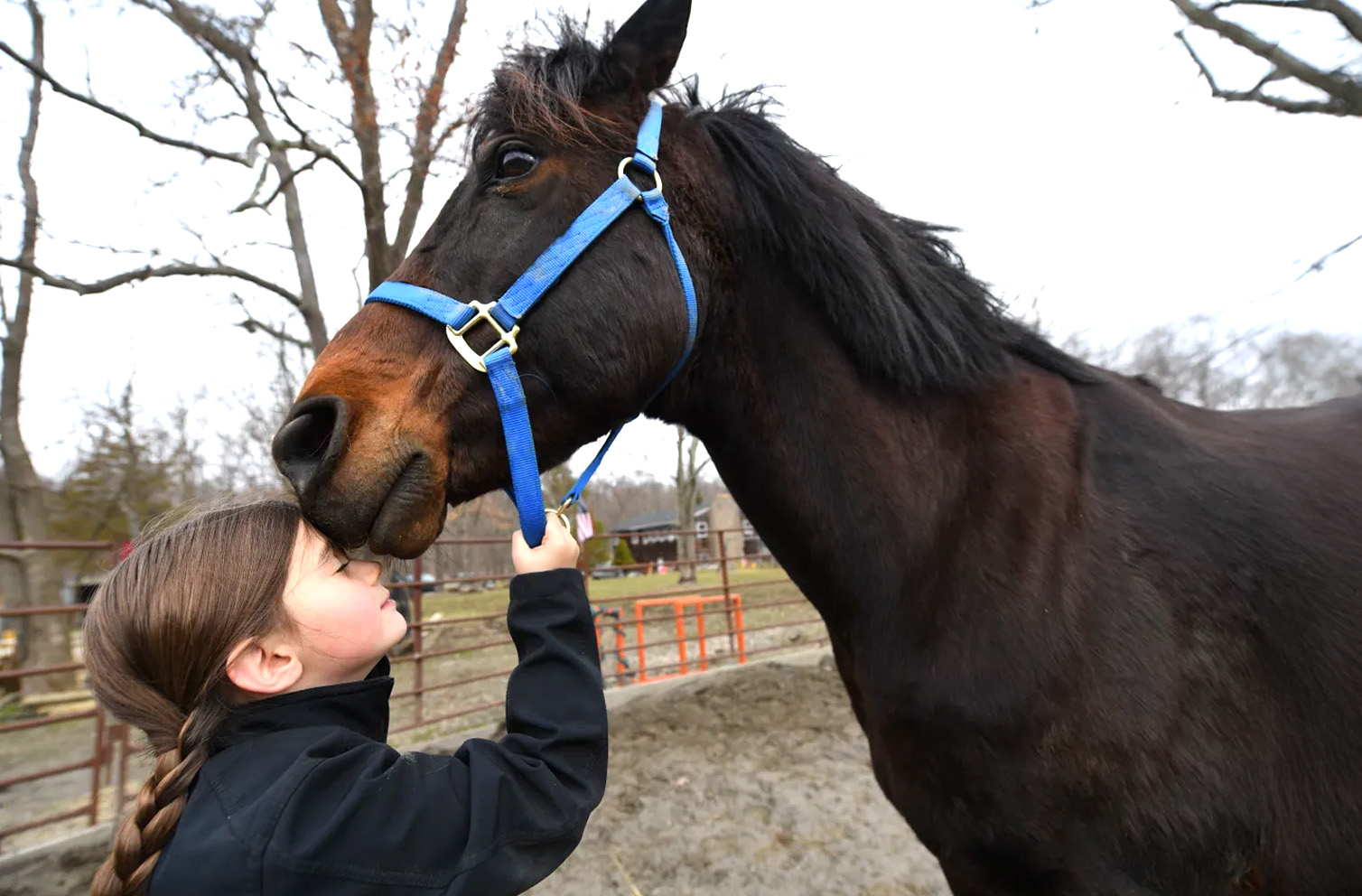 horse-kissing-girl